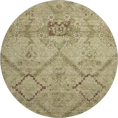 Premium Machine Washable Prisco Brown Rug