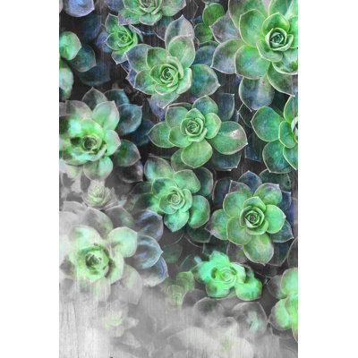 " Succulents 3 "
