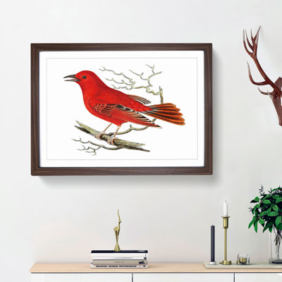 Mississippi Tanager Bird by George Shaw - Picture Frame Art Print