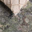 Tapis vert / beige Antkeo 126-1792089741