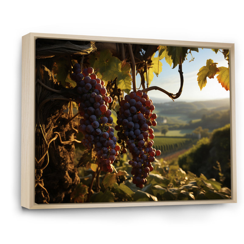 Raisins mauves, attrape-rêves sur toile, Cadre naturel flottant, H 16 po x l 32 po x P 1 po