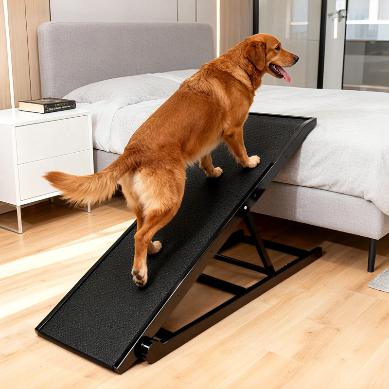 2. Rampe pour chien extra-longue 61 po - Herbe à traction élevée, protection des articulations, double stabilité