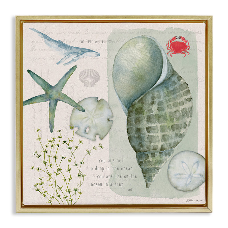 Collage inspirant des coquillages, H 18 po x l 18 po, Cadre flottant métallique doré