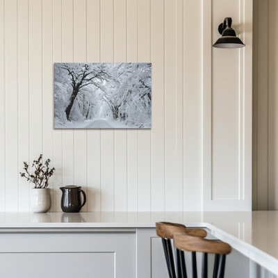 «Winter Forest Wall Art - Arbre couvert de neige»
