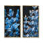 Ensemble de 2 photos d'art lupin bleu et noir-1416856469-1416856475-1416856473