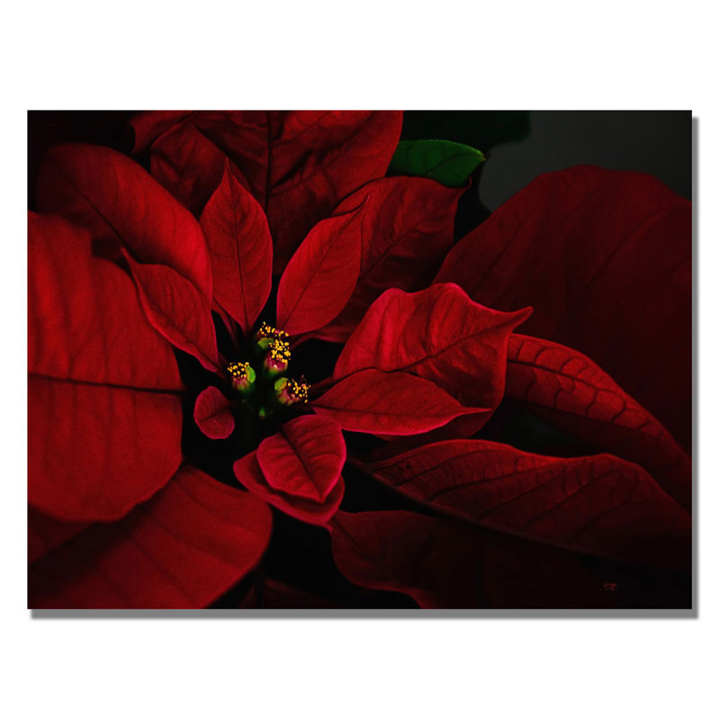 Poinsettia Red Floral Framed Canvas Art 22" x 32"