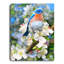 Mini toile de fond chevalet 8 x 6 Bluebird