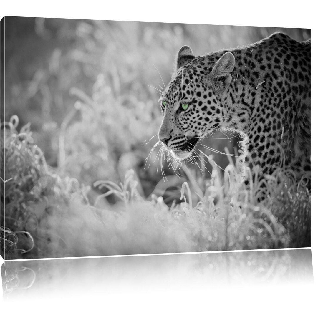 Leinwandbild Schleichender Leopard