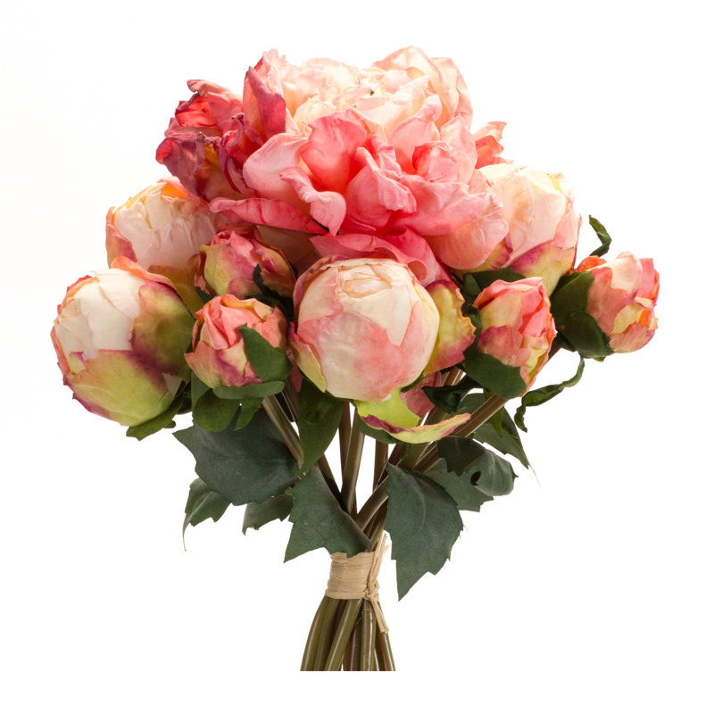Tiges de pivoines, buissons et jets, Rose