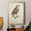 «French Owls I», impression sur papier-1832934063-1832933971