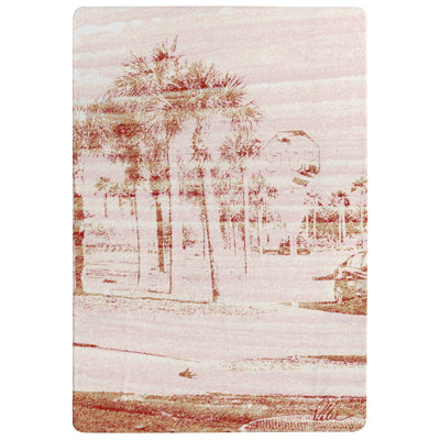 Maron Shag Area Rug