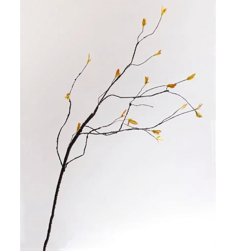 Spring Spring Branch - 37 po, Green, [A] 1 Stem