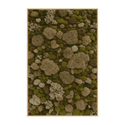 Machine Washable Botanical Brown Area Rug