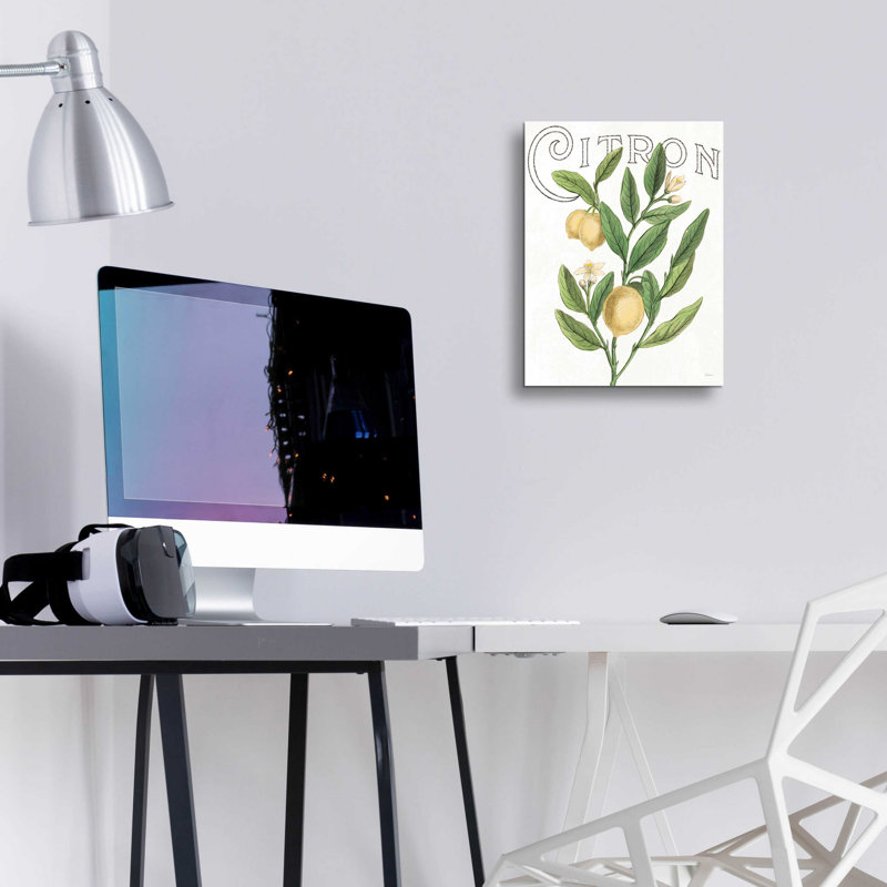 «Classic Citrus V Light» par Sue Schlabach, H 16 po x l 12 po x P 0,13 po