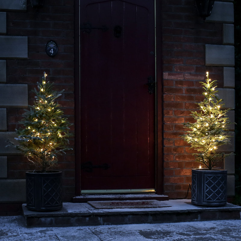 String Lights, Warm White