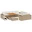 166cm Wide Patio Sofa with Cushions
