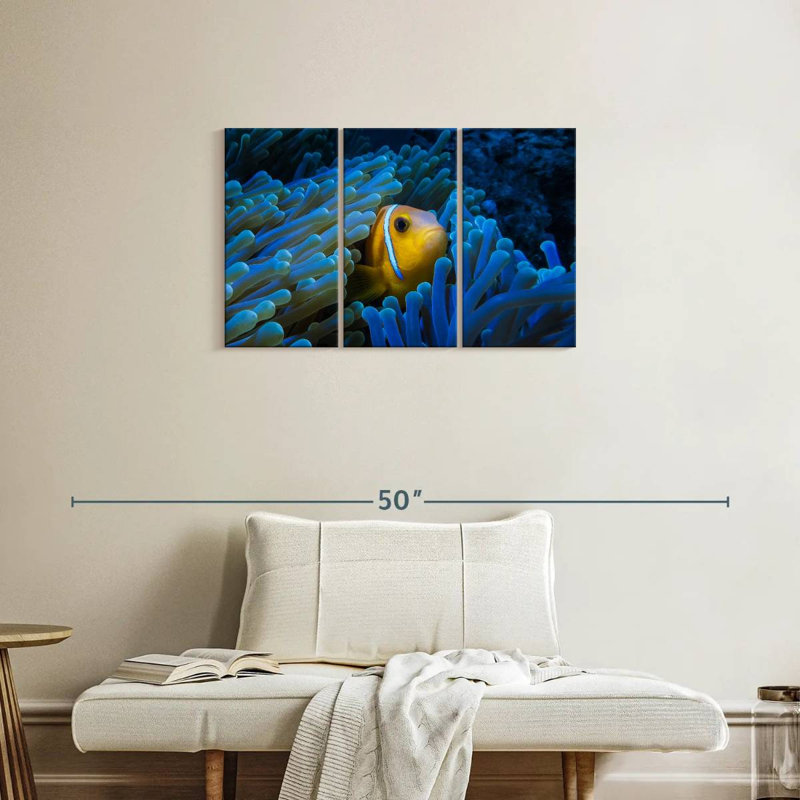 Brampt Lurking Clownfish, 20" H x 33" W