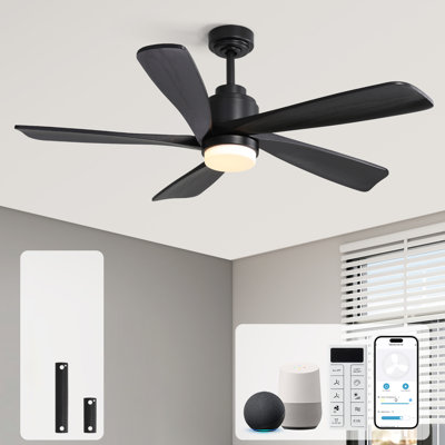 Damecia 52'' Ceiling Fan with LED Lights