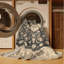 Tapis beige surteint lavable à la machine-908607295
