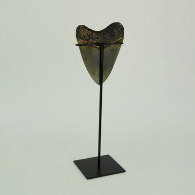 Sculpture Camberwell Megalodon Shark