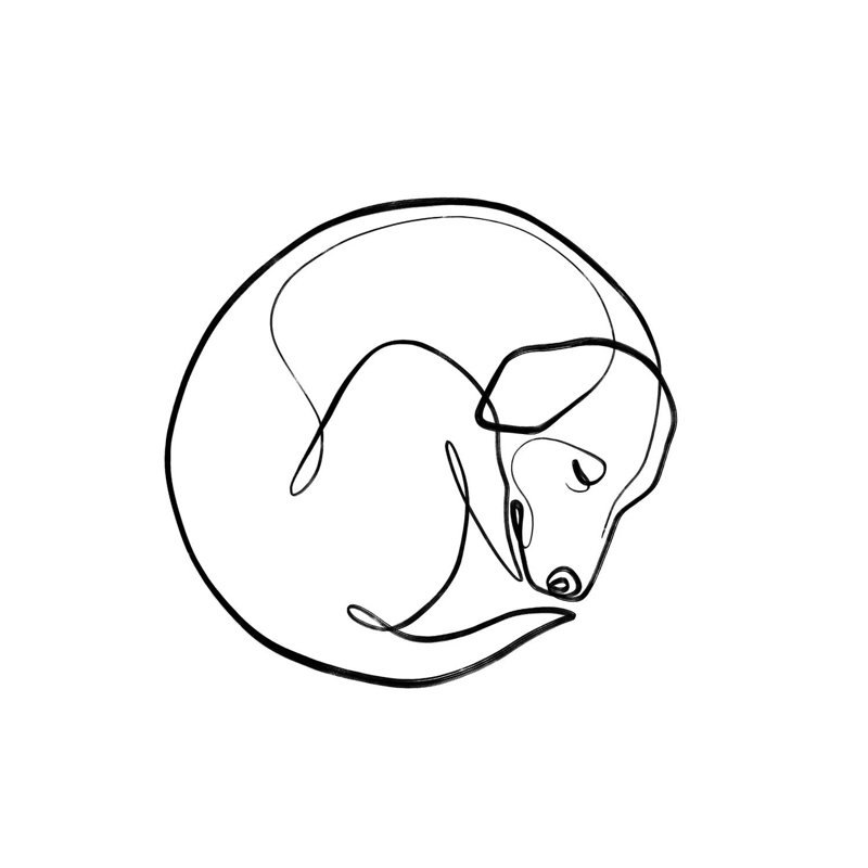 One Line Sleeping Dog by Dane Khy - Wrapped Canvas Print, 93.98 cm H x 93.98 cm W x 3.175 cm D