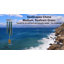 Seascapes - Seafoam Wind Chime