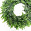 Couronne en plastique eucalyptus-726362230
