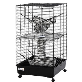 ideal ferret cage setup