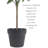 Faux Olive Tree Tree in Pot Liner-1109084349
