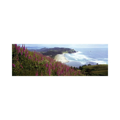 Coastal Landscape with Foxgloves in the Foreground as Seen from Cascade Head, Tillamook County, Oregon, USA 1 Piece Wrapped Canvas Panoramic Wall Art