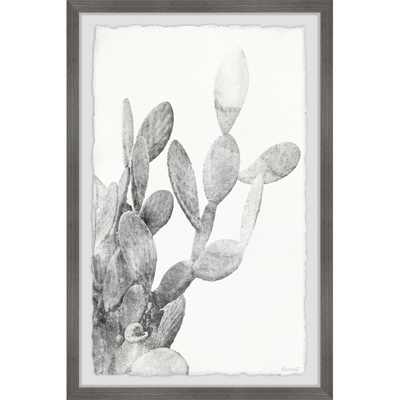 Prickly Bloom by Marmont Hill - Single Picture Frame Painting, 30cm H x 20cm W x 3.81cm D