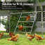 Chost Roost For Coop, barre de repos Jungle Gym, 55 po x 33,75 po