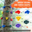 Trousse d'escalade Ninja Tree 12 prises d'escalade 6 sangles