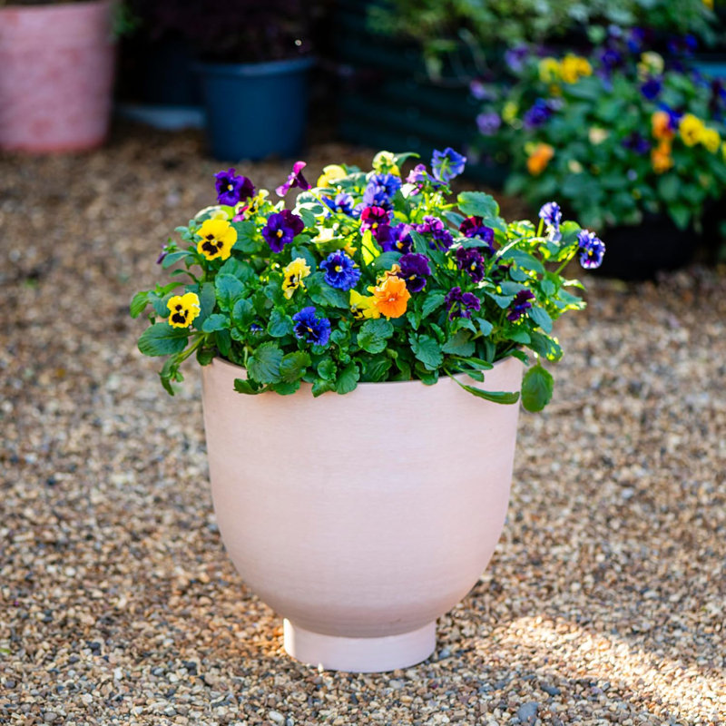 Catalda Pot Planter