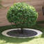 Tree Ring Decorative Garden Modern Protector Outdoor Ornament Base Home-418723713-418723725