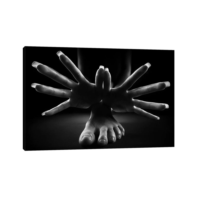 «Figurative Body Pièces II» par Johan Swanepoel - photographie sur toile tendue, H 26 po x l 40 po x 1,5 po