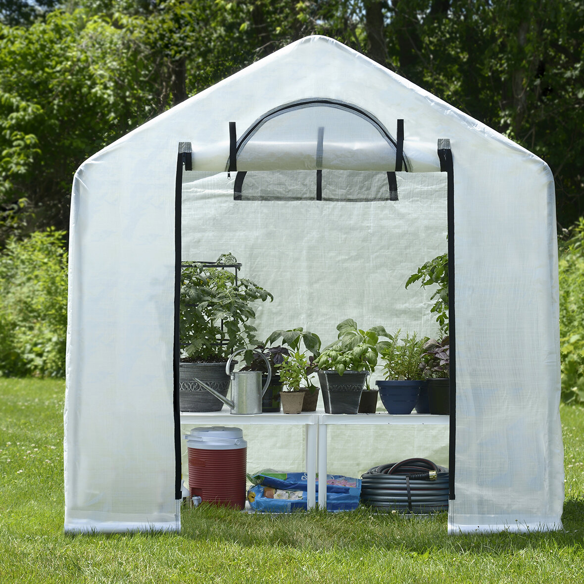 ShelterLogic GrowIt Backyard Ft. W x Ft. D Mini Greenhouse  Reviews  Wayfair Canada