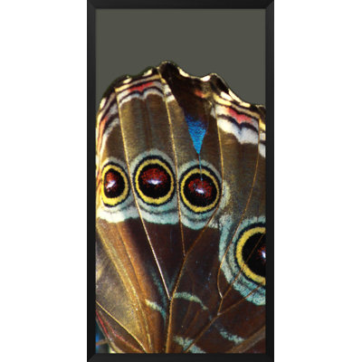 Wings 1' Framed Graphic Art Print on Glass
