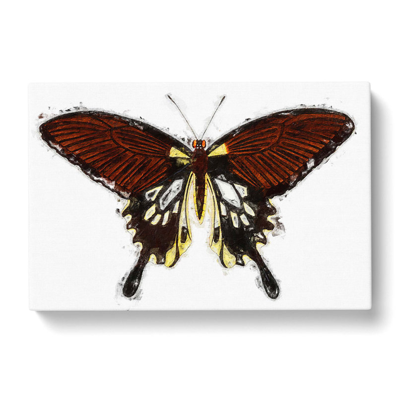 Black Butterfly by George Shaw - Wrapped Canvas Painting, 40cm H x 60cm W x 3cm D