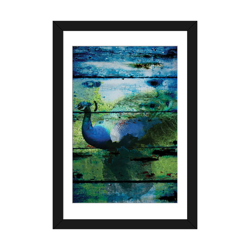 Paon I, impression sur toile tendue, H 24 po x l 16 po x P 1 po, Papier d'art encadré noir, Blanc