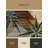 Machine Washable Paesyn Aloe Vera Minimalist Geometric Rug in Brown – Beige Binding-381705046