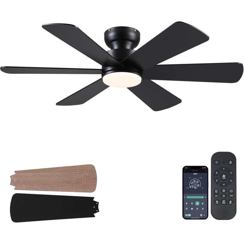 Ventilateur de plafond 46 po à 6 pales avec ensemble d'éclairage et télécommande, Noir, Noir