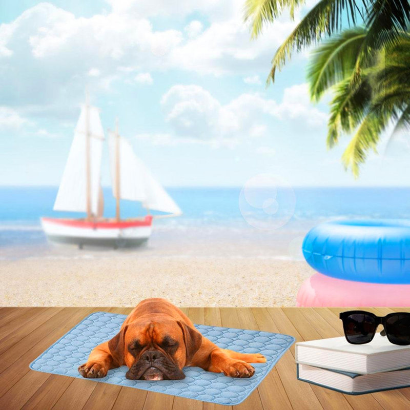 Coussin pour animal de compagnie Pet Cool