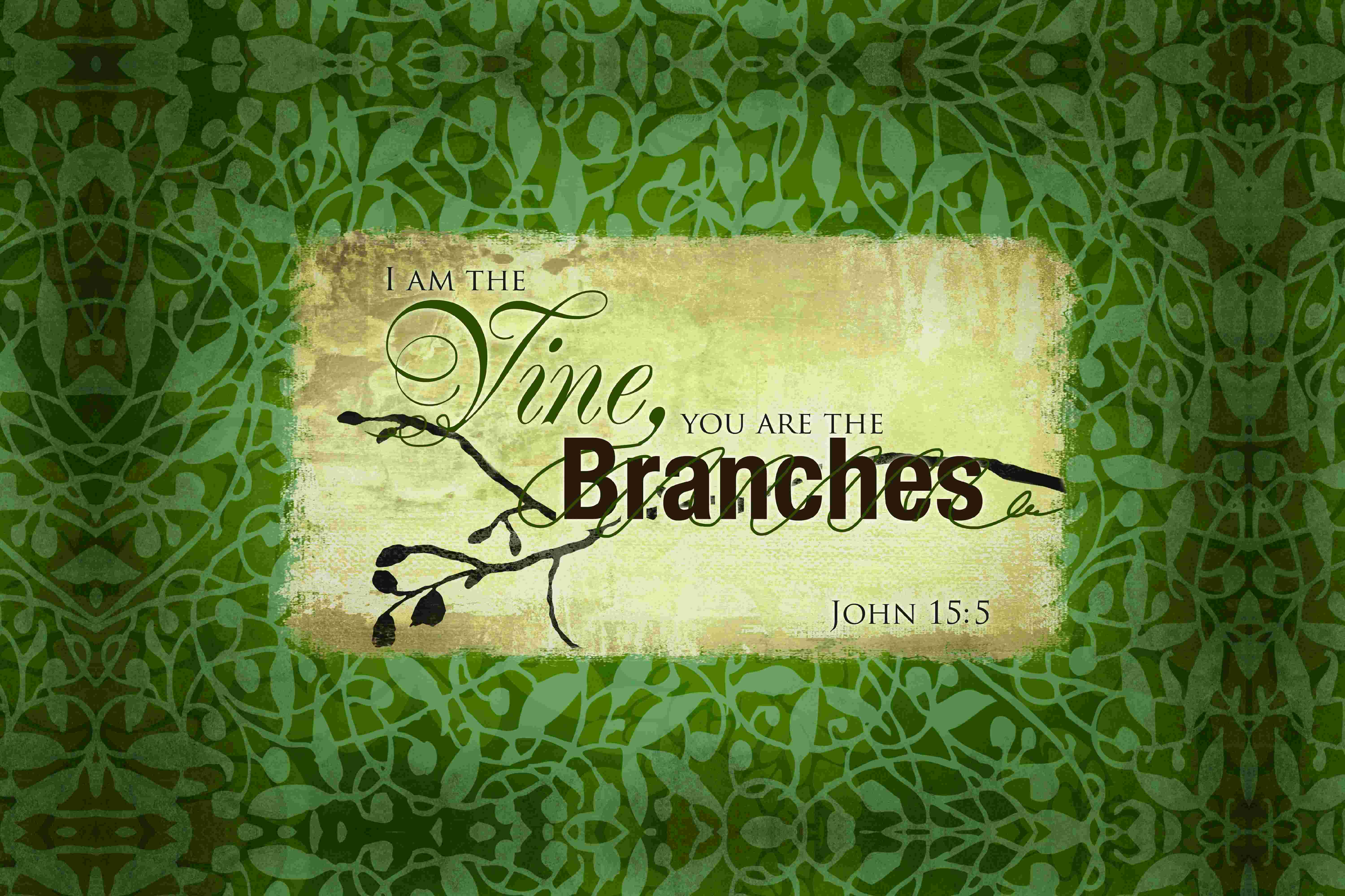 Trinx Vine And Branch On Canvas Textual Art Wayfair