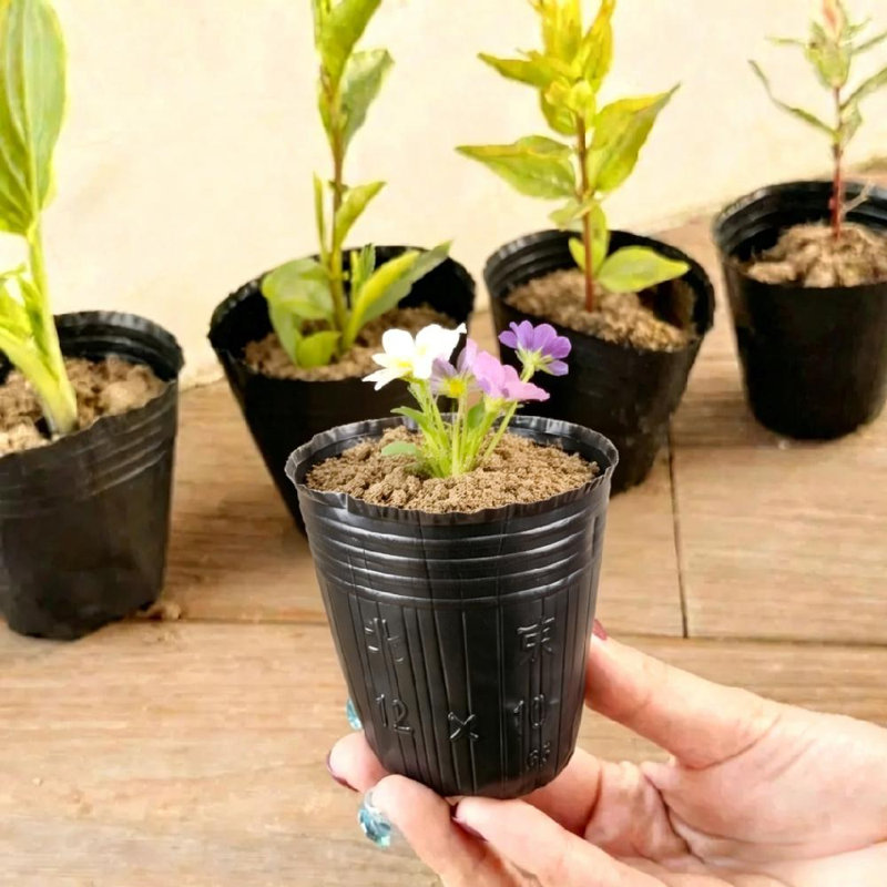 500 pots en plastique pour chambre de bébé, 3.9x4.7in