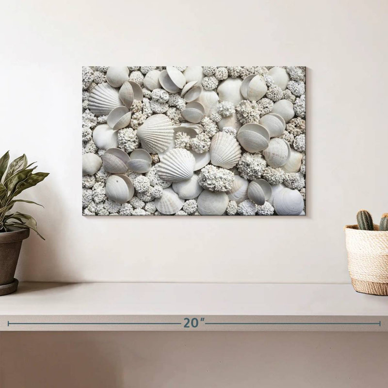Aletra White Seashells, 8" H x 12" W