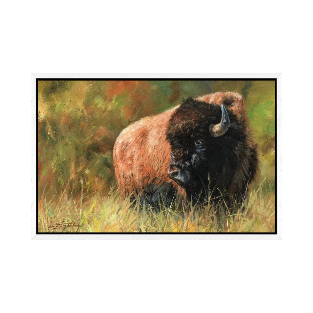 Bison I von David Stribbling - Galerie-verpackte Leinwand Giclée auf Leinwand