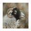 Art sur toile «Rhin John»-104136318