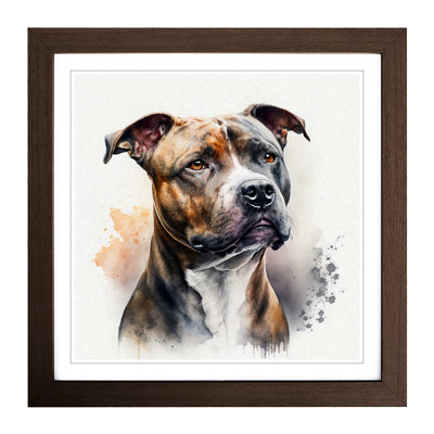 Staffordshire Bull Terrier Watercolour - Framed Print