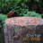Stone Freestanding Decorative Bird Feeder